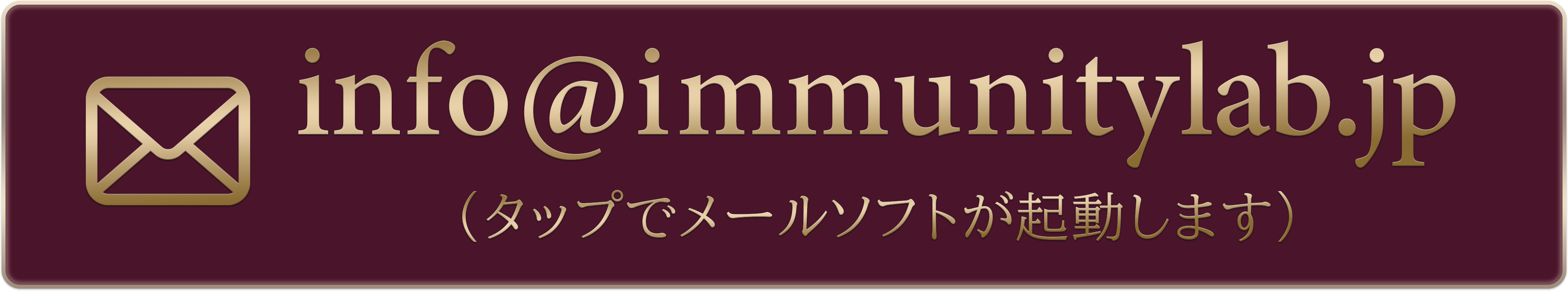 ボタンメールアドレス日本語